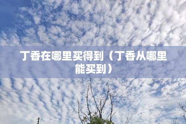 **在哪里买得到（**从哪里能买到）
