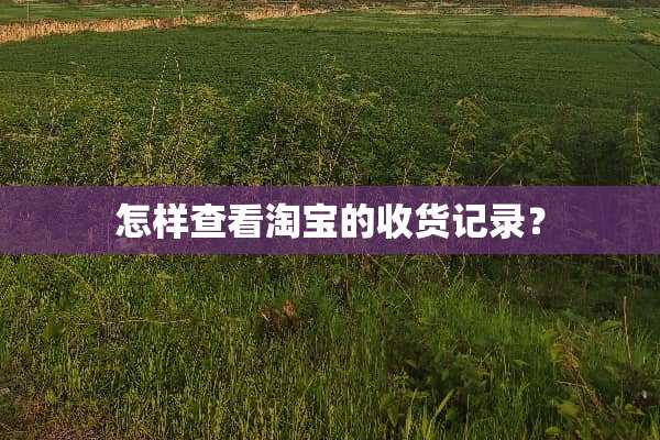 怎样查看淘宝的收货记录？