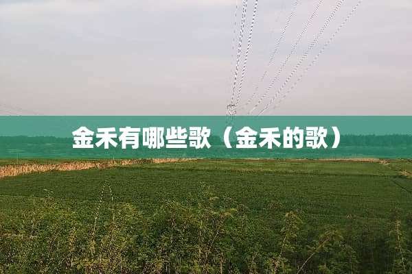 金禾有哪些歌（金禾的歌）