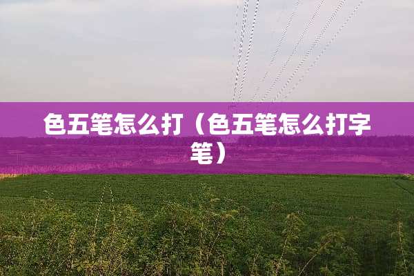 色五笔怎么打（色五笔怎么打字笔）
