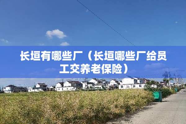 长垣有哪些厂（长垣哪些厂给员工交养老保险）