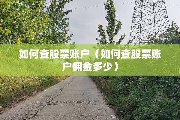 如何查股票账户（如何查股票账户佣金多少）
