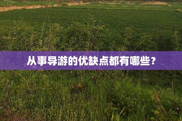 从事导游的优缺点都有哪些？