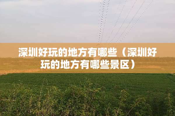 深圳好玩的地方有哪些（深圳好玩的地方有哪些景区）