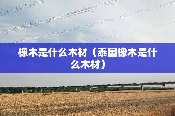橡木是什么木材（泰国橡木是什么木材）