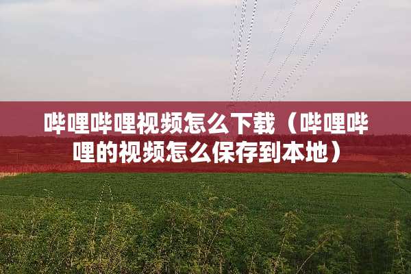 哔哩哔哩视频怎么下载（哔哩哔哩的视频怎么保存到本地）