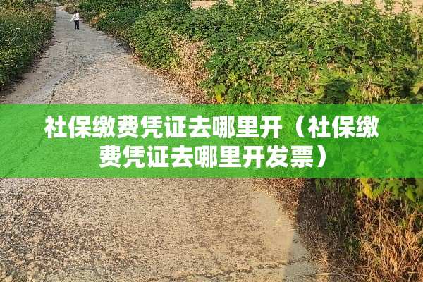 社保缴费凭证去哪里开（社保缴费凭证去哪里开**）