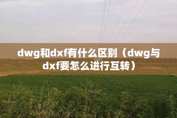 dwg和dxf有什么区别（dwg与dxf要怎么进行互转）