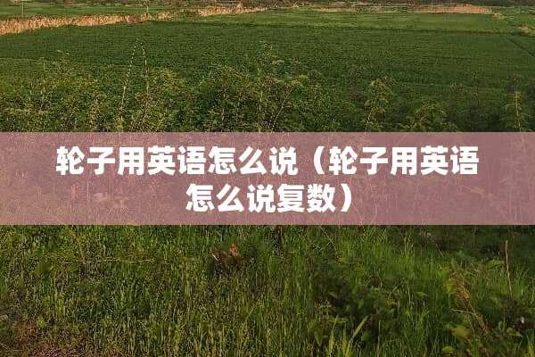 轮子用英语怎么说（轮子用英语怎么说复数）