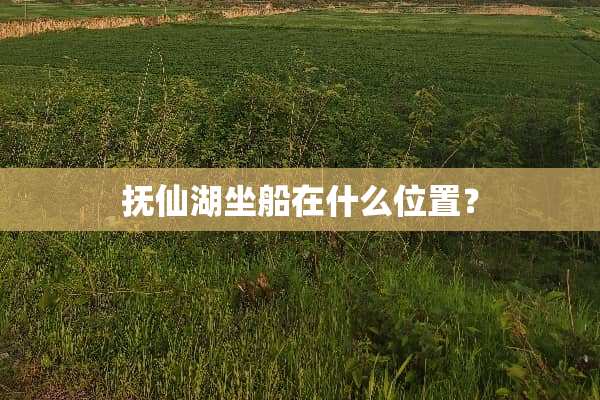 抚仙湖坐船在什么位置？