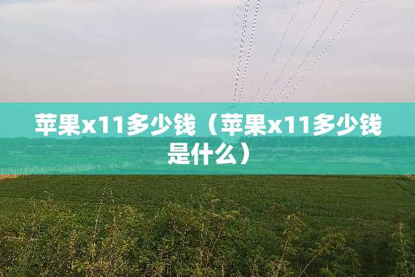 苹果x11多少钱（苹果x11多少钱是什么）
