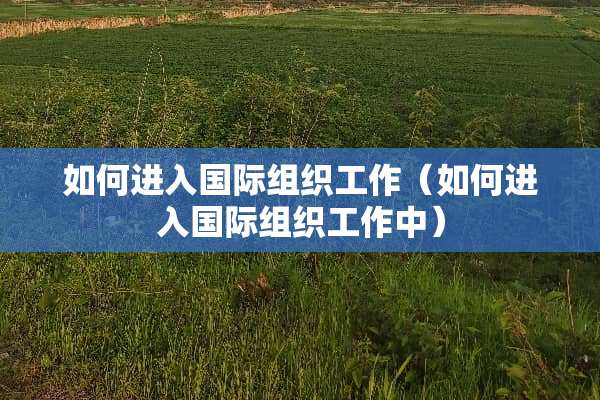 如何进入国际组织工作（如何进入国际组织工作中）