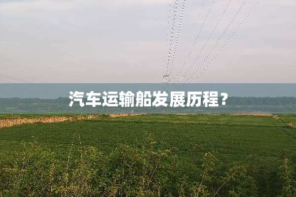 汽车运输船发展历程？