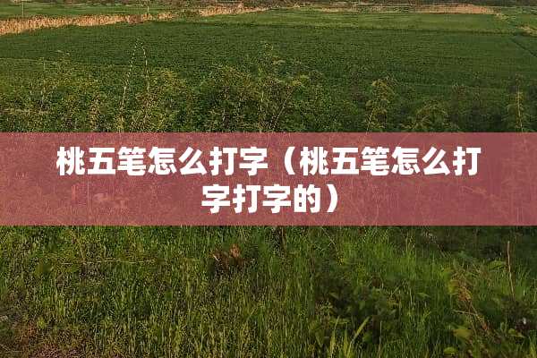桃五笔怎么打字（桃五笔怎么打字打字的）