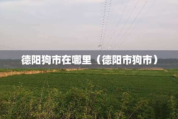德阳狗市在哪里（德阳市狗市）