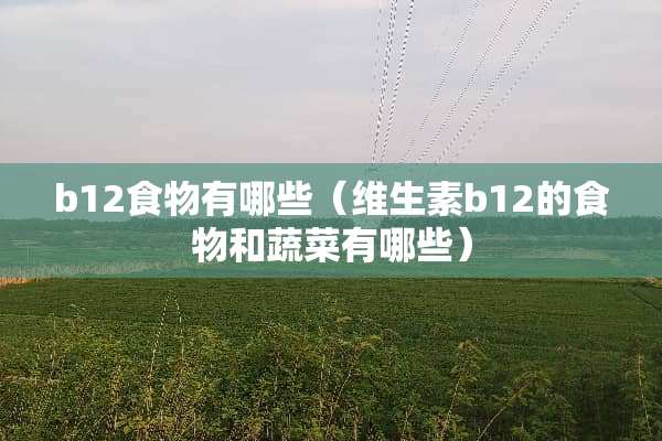 b12食物有哪些（维生素b12的食物和蔬菜有哪些）