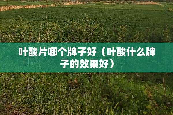 叶酸片哪个牌子好（叶酸什么牌子的效果好）
