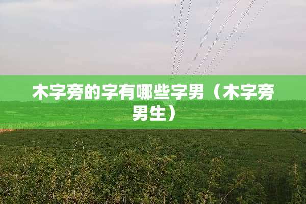 木字旁的字有哪些字男（木字旁男生）