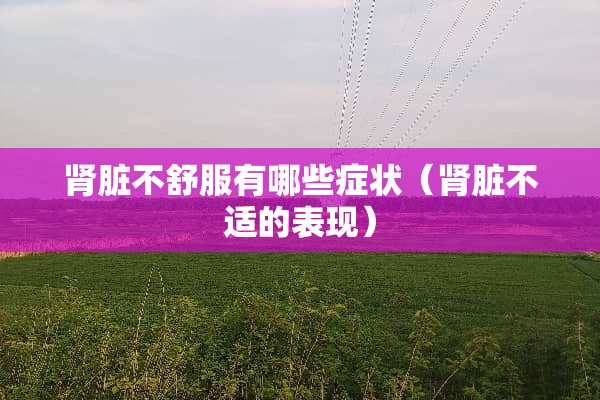 肾脏不舒服有哪些症状（肾脏不适的表现）