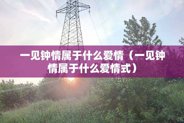 一见钟情属于什么爱情（一见钟情属于什么爱情式）