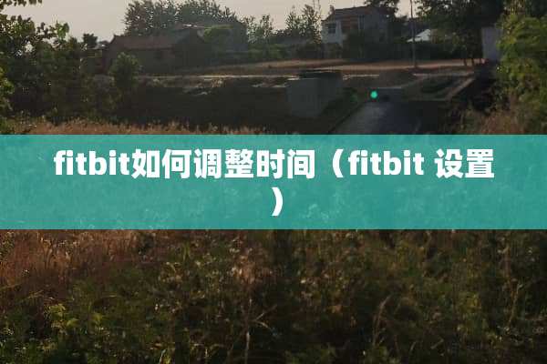 fitbit如何调整时间（fitbit 设置）