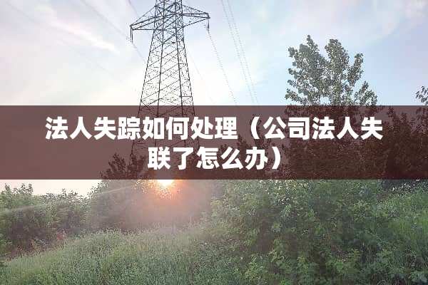 法人失踪如何处理（公司法人失联了怎么办）