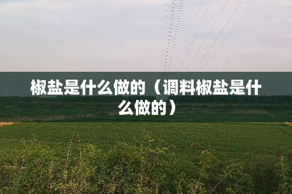 椒盐是什么做的（调料椒盐是什么做的）