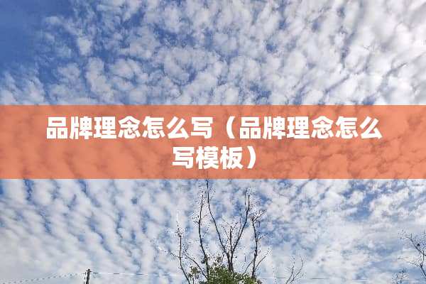 品牌理念怎么写（品牌理念怎么写模板）
