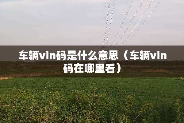 车辆vin码是什么意思（车辆vin码在哪里看）