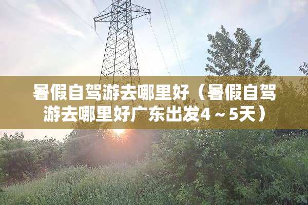 暑假自驾游去哪里好（暑假自驾游去哪里好广东出发4～5天）