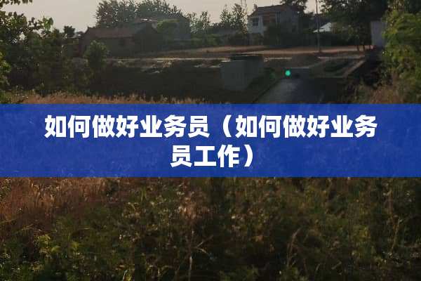 如何做好业务员（如何做好业务员工作）