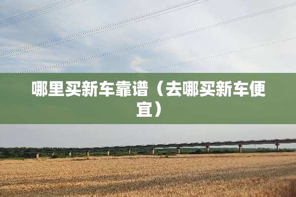 哪里买新车靠谱（去哪买新车便宜）