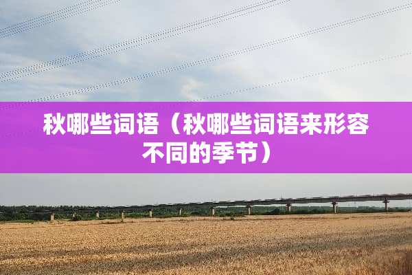 秋哪些词语（秋哪些词语来形容不同的季节）