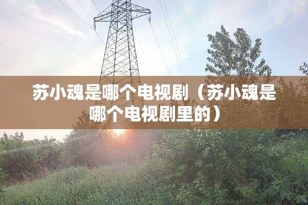 苏小魂是哪个电视剧（苏小魂是哪个电视剧里的）