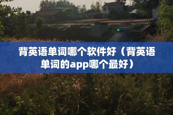 背英语单词哪个软件好（背英语单词的app哪个最好）