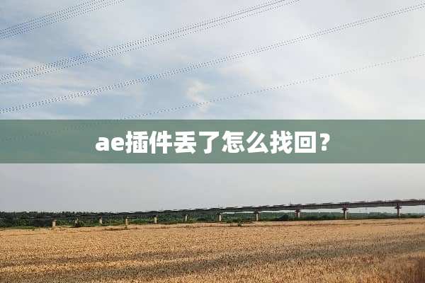 ae插件丢了怎么找回？