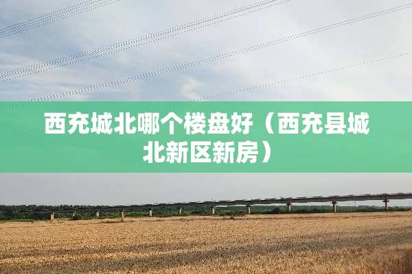 西充城北哪个楼盘好（西充县城北新区新房）