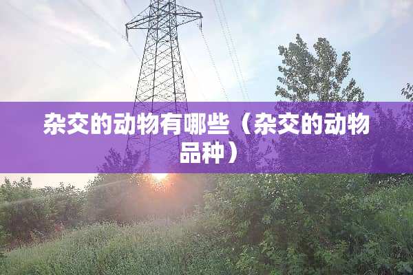 杂交的动物有哪些（杂交的动物品种）