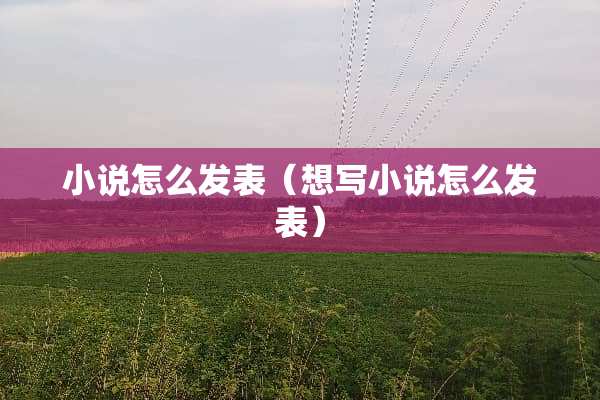 小说怎么发表（想写小说怎么发表）