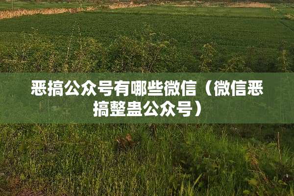 **公众号有哪些微信（微信**整蛊公众号）
