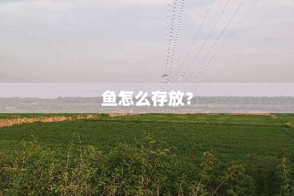 鱼怎么存放？