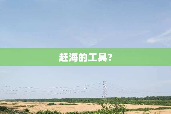 赶海的工具？