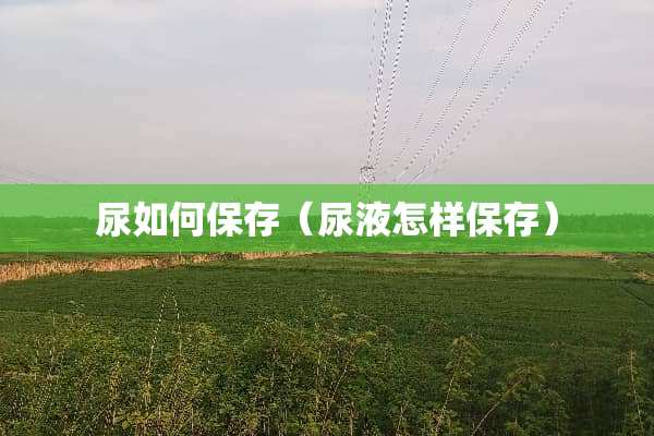 尿如何保存（尿液怎样保存）
