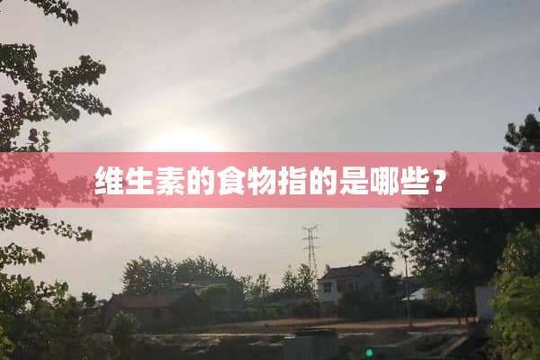 维生素的食物指的是哪些？