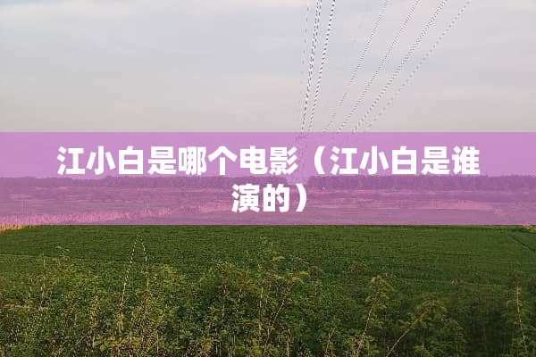 江小白是哪个电影（江小白是谁演的）