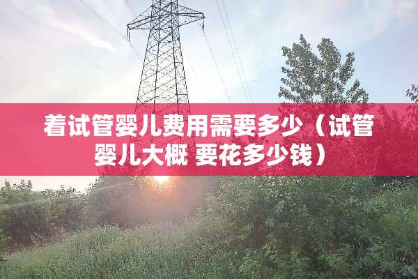 着试管婴儿费用需要多少（试管婴儿大概 要花多少钱）