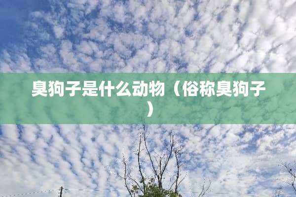 臭狗子是什么动物（俗称臭狗子）