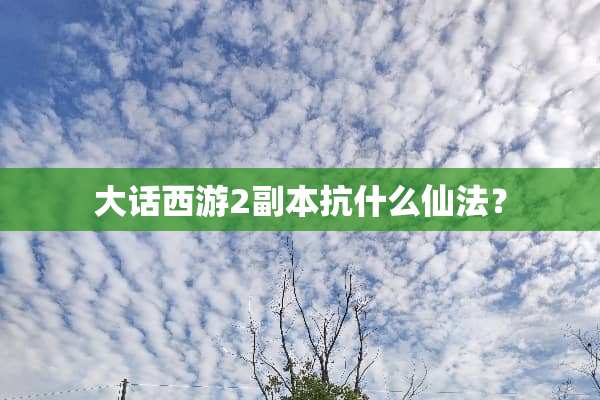 大话西游2副本抗什么仙法？