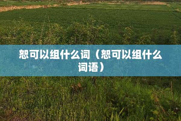 恕可以组什么词（恕可以组什么词语）