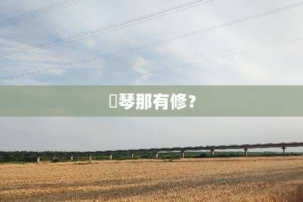 鋼琴那有修？